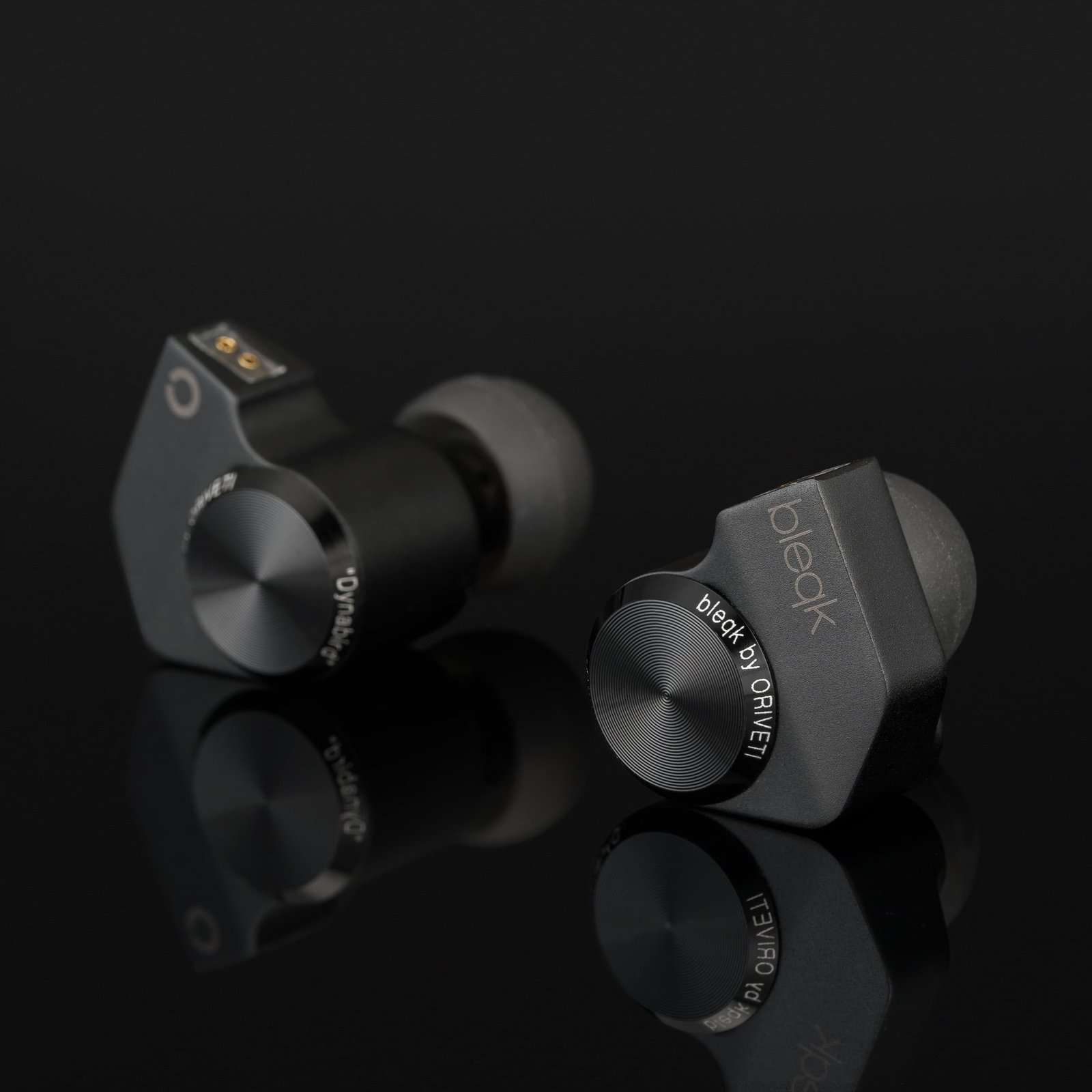 Dynabird black